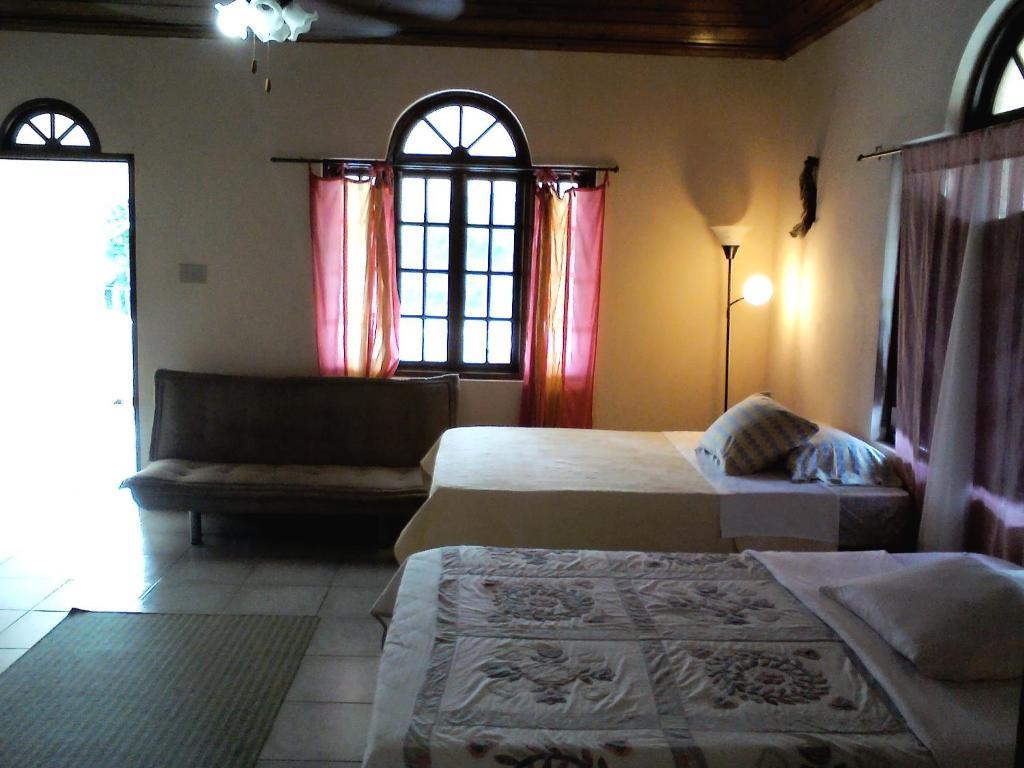Dolphin Bay Yoga Guest House Drapers Rum bild